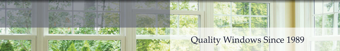 Vinyl Windows